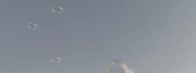 🎐 𓈒𓏸さんの壁紙画像