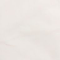 わぁ(仮)さんのアイコン画像