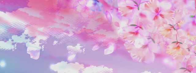 🌸🫧さんの壁紙画像