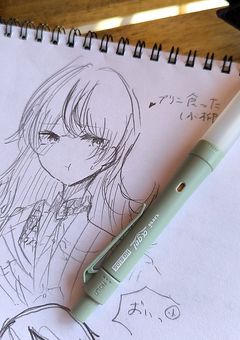 絵を載せるとこ(表紙俺( *¯ ꒳¯*)どやぁ✨)