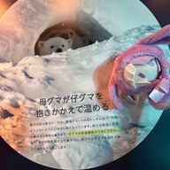 スヤ⭐︎さんのアイコン画像