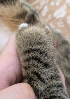 キャラ設定と番外編