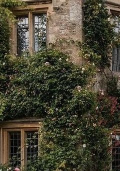 三階角部屋のネモフィラ