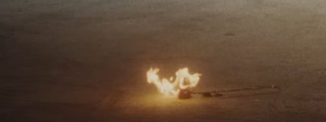 ぱふさんの壁紙画像