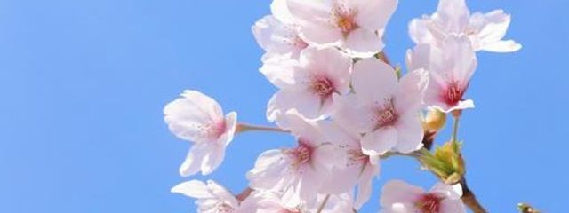 さとーがし*̣̩☂︎*̣̩さんの壁紙画像