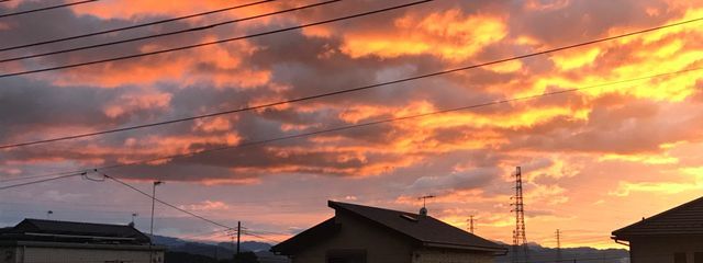 翠波　ひす　「活動休止します」さんの壁紙画像