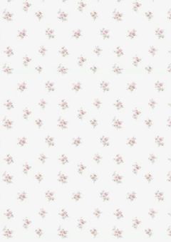 𝓟𝓻𝓲𝓷𝓬𝓮𝓼𝓼 𝓖𝓪𝓻𝓭𝓮𝓷