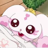 🐰‎*.𝝑𝝔さんのアイコン画像