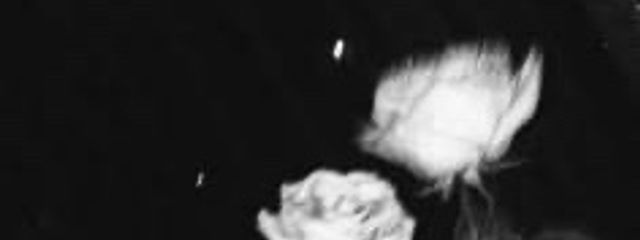        愛城 #リムられやすい体質さんの壁紙画像