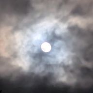 練花さんのアイコン画像