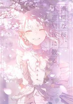 満開な桜、1週間後に散る