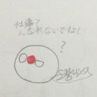 稲季 雷来(💫星空 咲夜💫)さんのアイコン画像