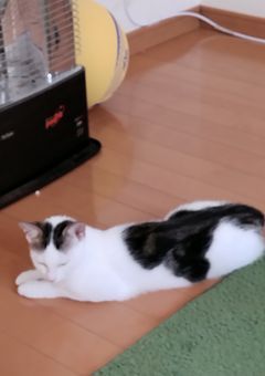 まじでChatGPTが作った小説