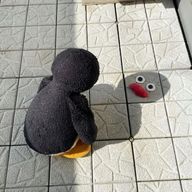 knockさんのアイコン画像