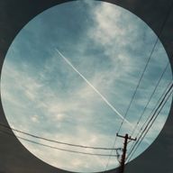 ぴーる °🐈⬛💍°さんのアイコン画像