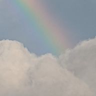 まろまゆ子さんのアイコン画像