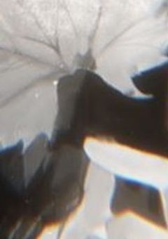 /-加害者の被害者面-/