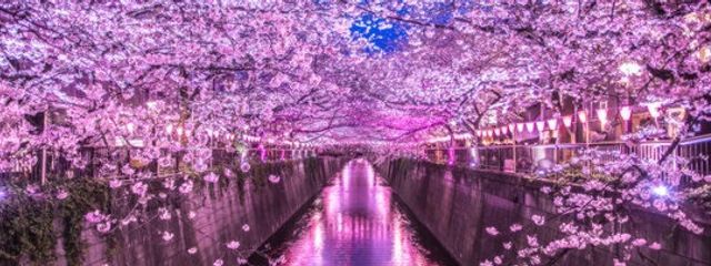 蛍さんの壁紙画像