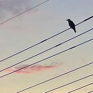 姉御さんのアイコン画像