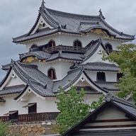 白乱 (さんのアイコン画像