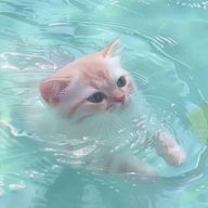 桜華さんのアイコン画像