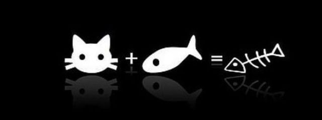 せい！ @🖤🐈‍⬛🎵 ＃やばい人さんの壁紙画像
