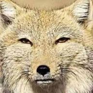 ぬんにぃさんのアイコン画像