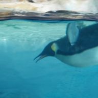 たまごサンドさんのアイコン画像