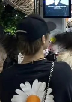 Aぇの橙は病弱です！