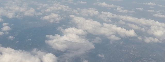 うさぎ。さんの壁紙画像