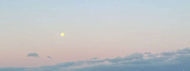 Miさんの壁紙画像