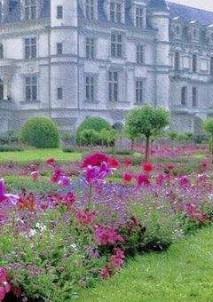 #　烏野の姫と中身入れ替わった件　。