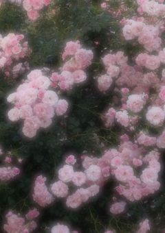 すれ違う度に伝えたい、、