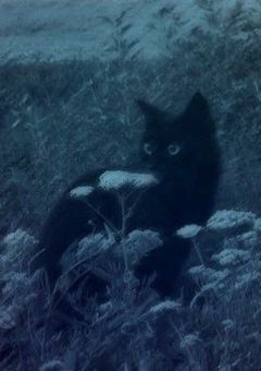 無音の距離、静寂の温度