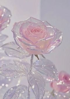 　♡ I like you the most