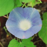 sasuke.さんのアイコン画像