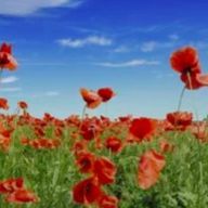 あすか♥️さんのアイコン画像