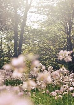 髙田真史帆、生まれた頃まで戻って無双しますッ