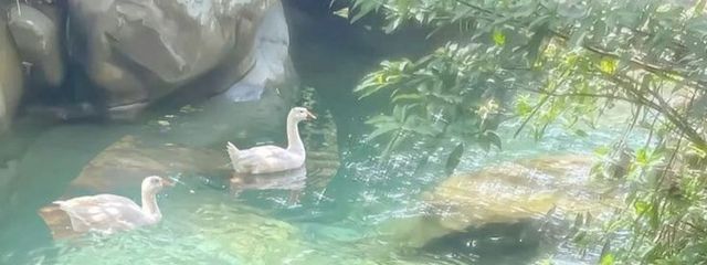 jd-rg ๐โง๏ฝฅ๏พ:* ใใใฎๅฃ็ด็ปๅ