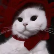 そのさんのアイコン画像