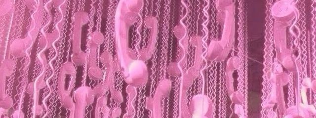 𝐏𝐨𝐩𝐩𝐲.さんの壁紙画像