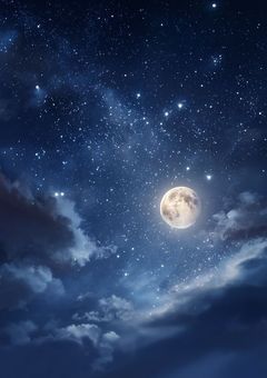 -----一緒に生きよう-----