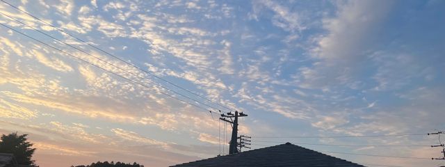きなこもちさんの壁紙画像