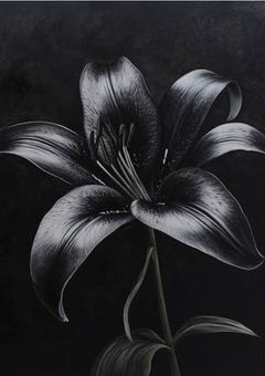 其の瞳から希望が消える迄。〚銀魂〛