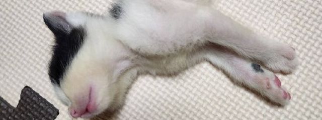 あﾛざクじュ‐す👔🎨さんの壁紙画像