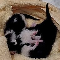 あﾛざクじュ‐す👔🎨さんのアイコン画像