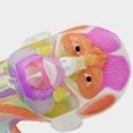終わり🔚さんのアイコン画像