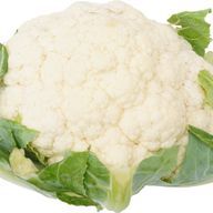 しおらーめんさんのアイコン画像