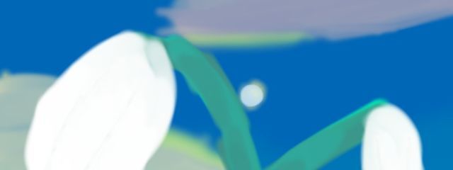 ✦☓✦さんの壁紙画像