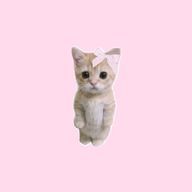 みぅさんのアイコン画像